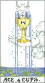 Tarot Meanings - Ace of Cups