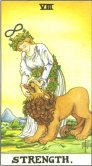 Tarot Meanings - Strength